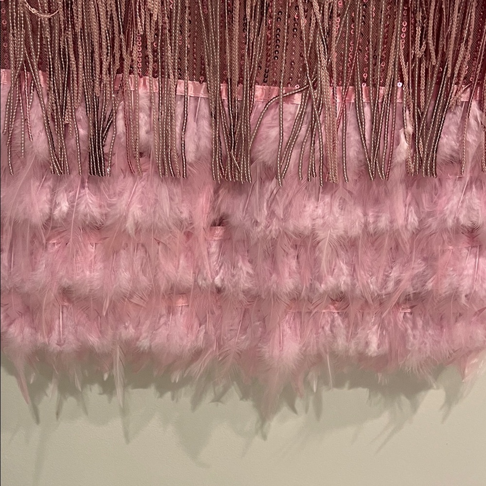 Elegant Pink Sequin Fringe Mini Dress - Picture 3 of 5